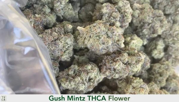 Gush Mintz THCA Flower by the Ounce. 103