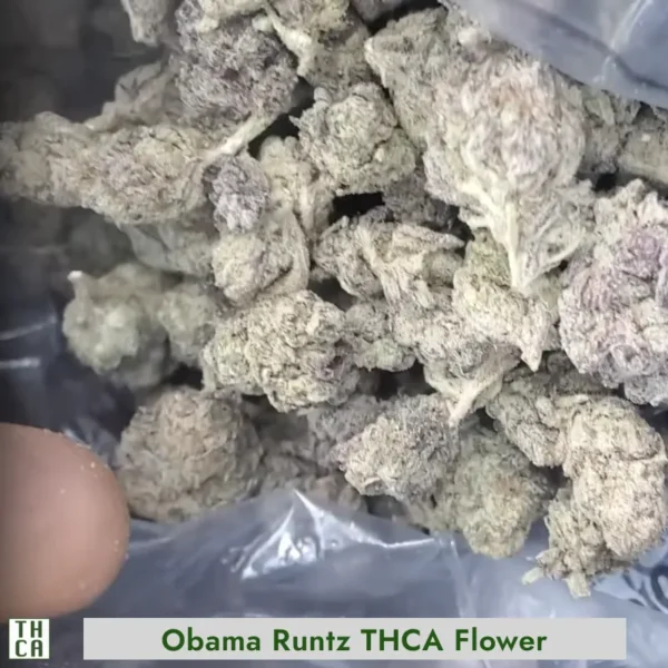Obama Runtz THCA Flower 103