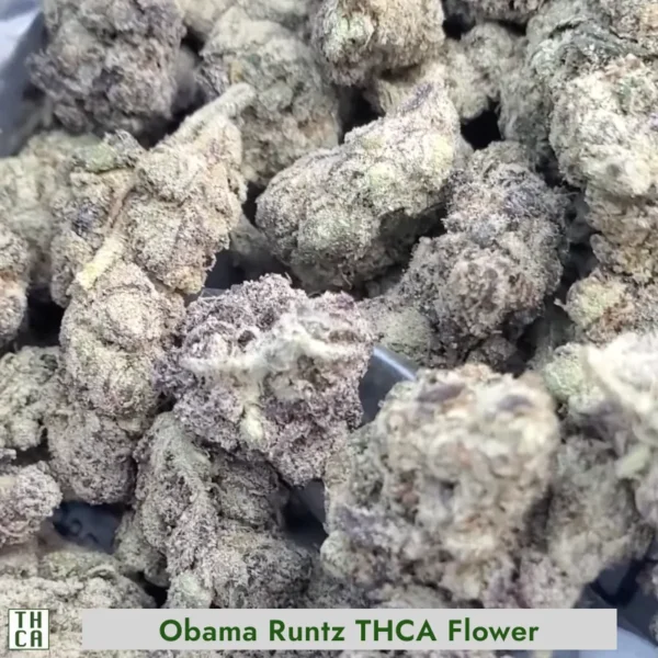 Obama Runtz THCA Flower 104