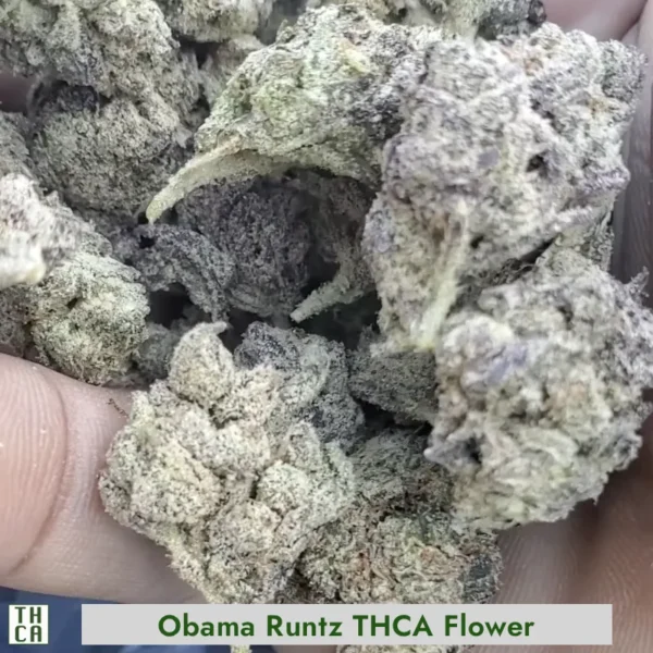 Obama Runtz THCA Flower 105